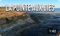 La pointe aux Oies - Wimereux