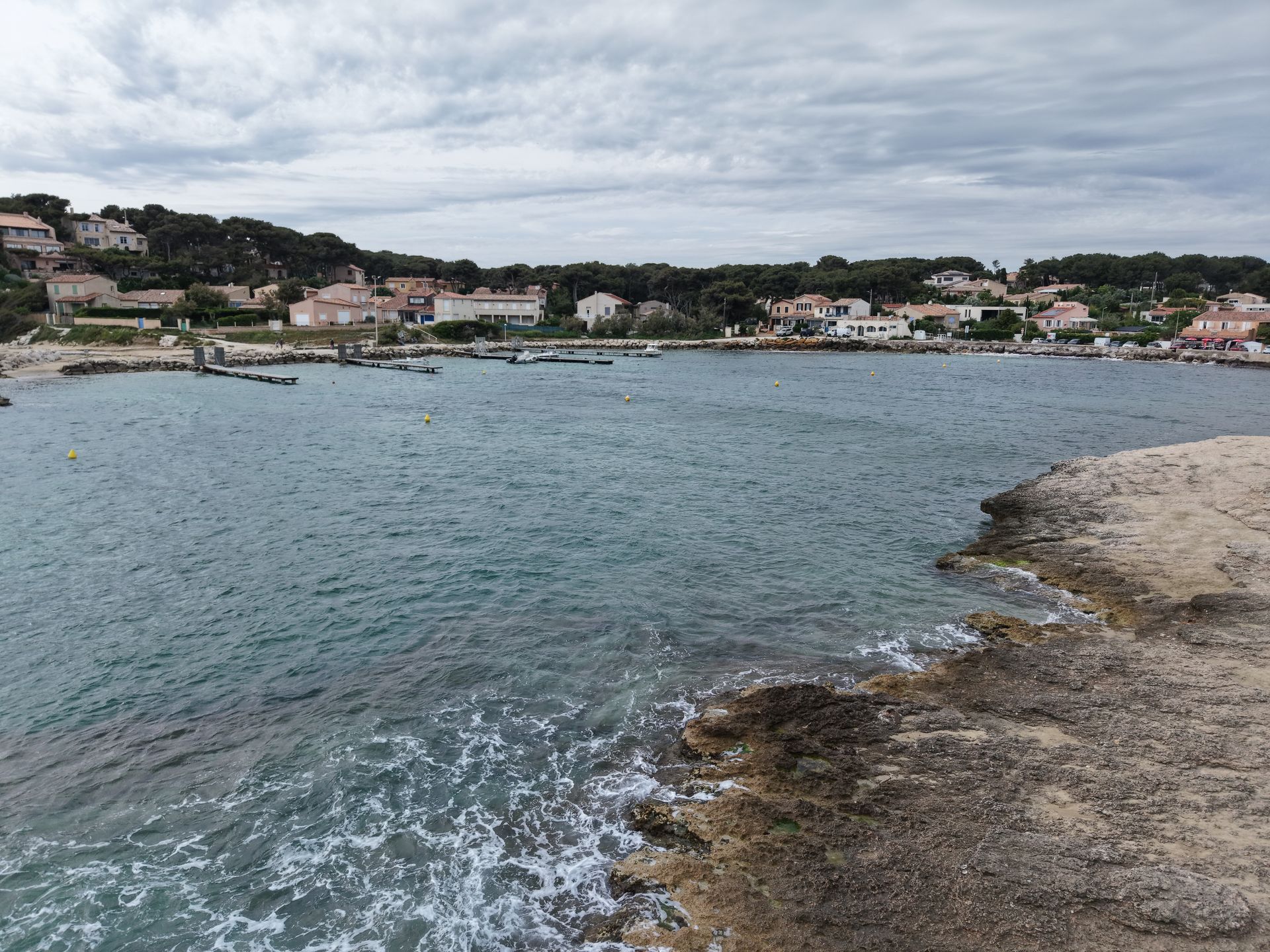 Les tamaris