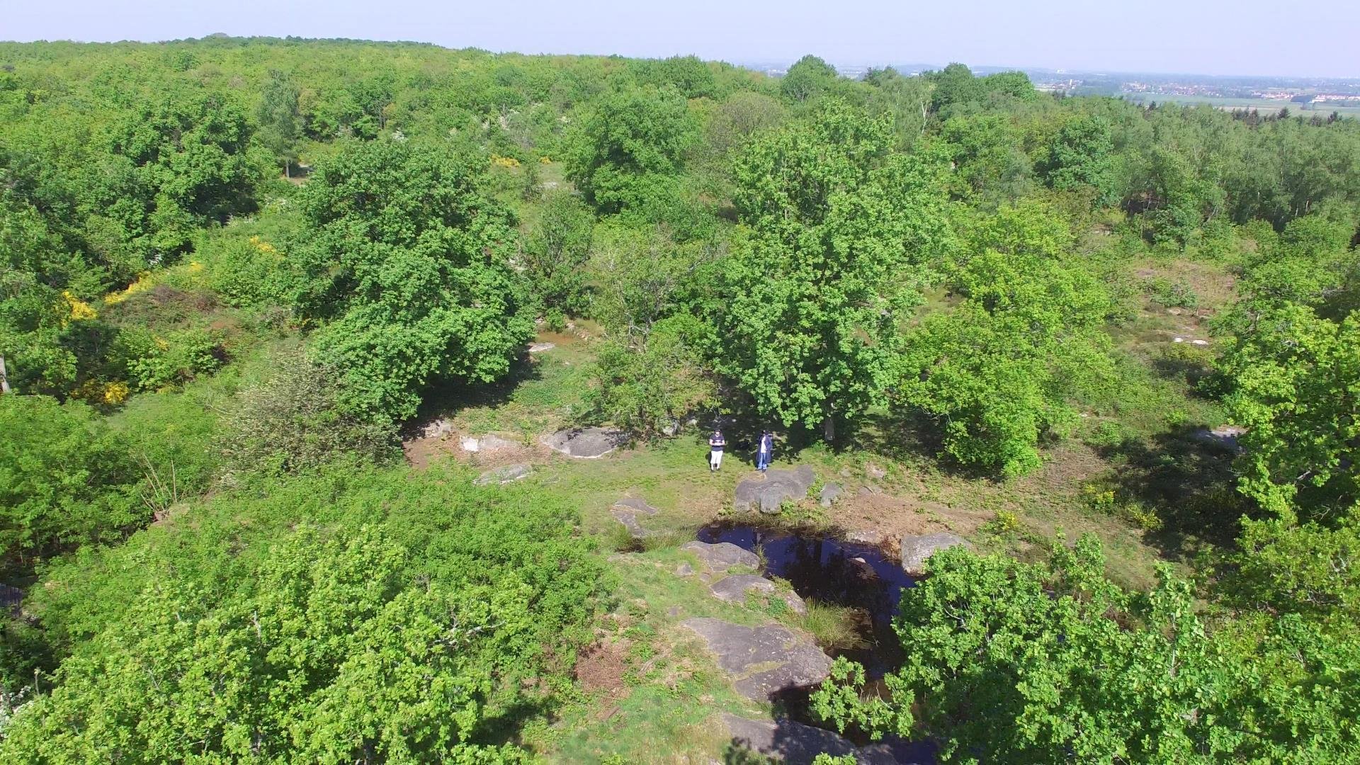 Étang de la Vallée de Chenevière