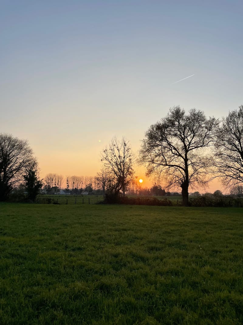 Terrain stade Teloché