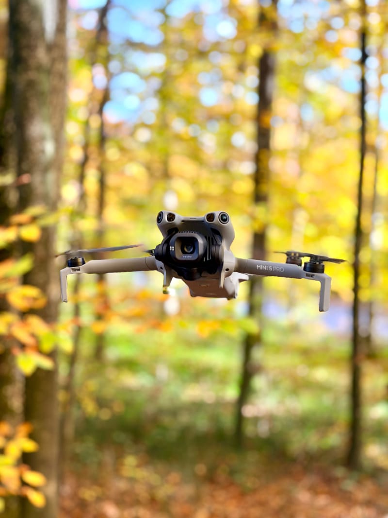 Picture of the spot location