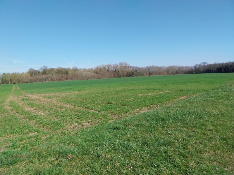 Picture of the spot location