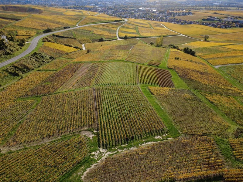 Picture of the spot location