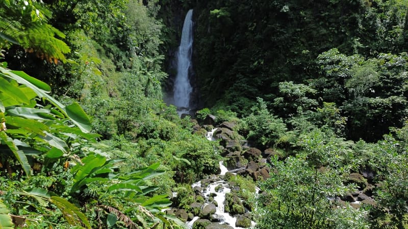 Picture of the spot location