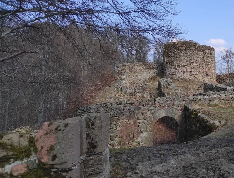 Picture of the spot location