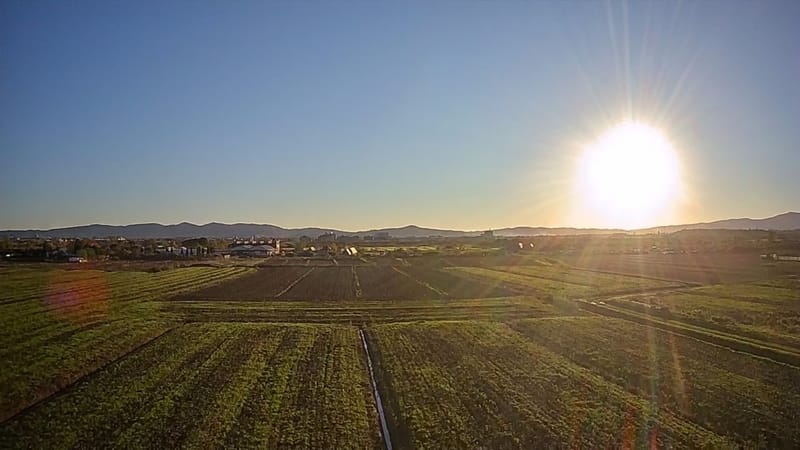 Picture of the spot location