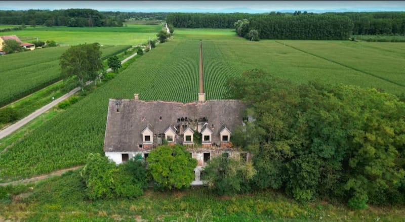 Picture of the spot location