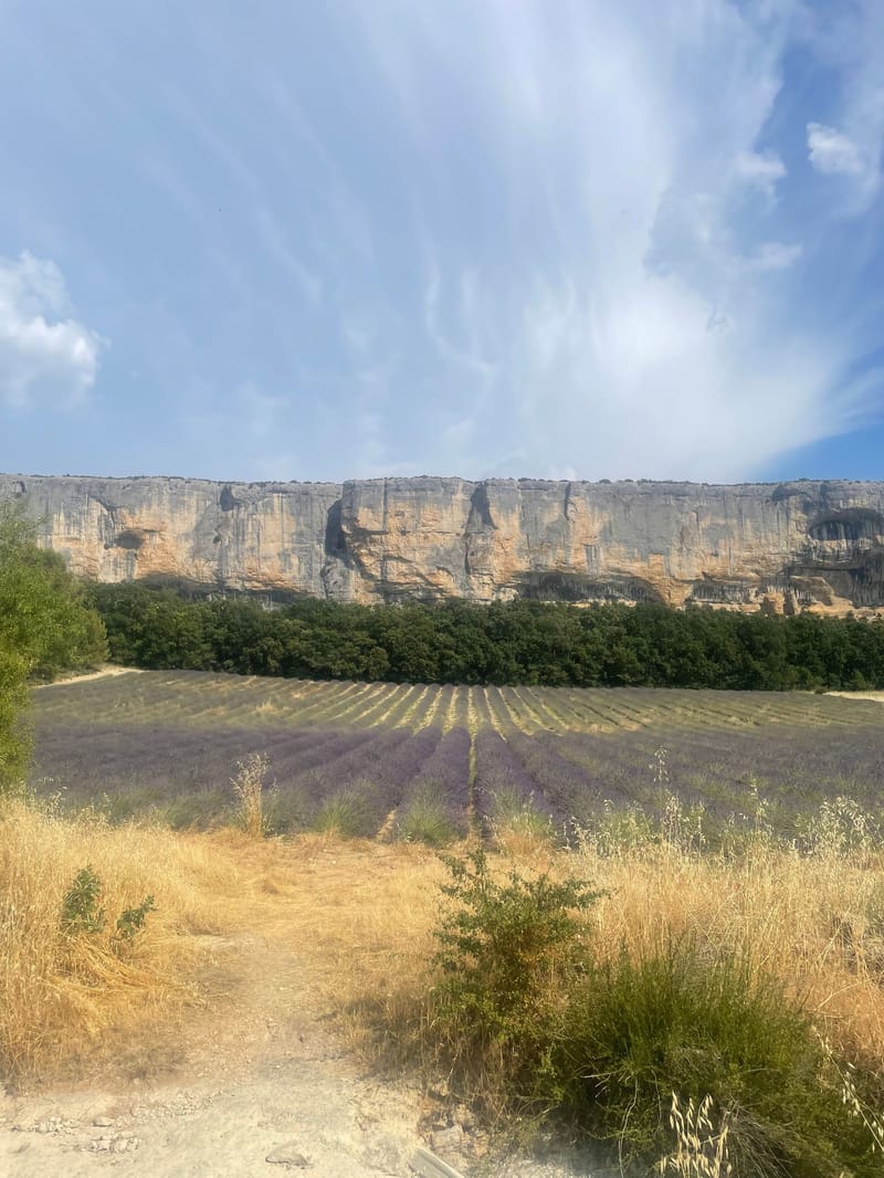 Falaise de la madeleine