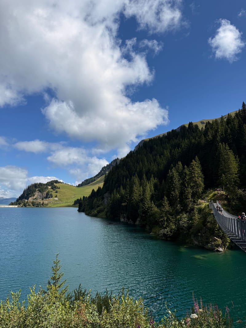 Picture of the spot location