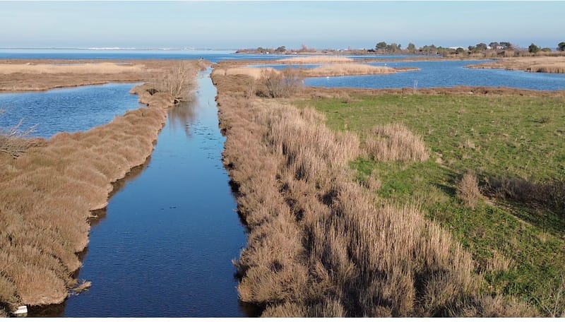 Picture of the spot location