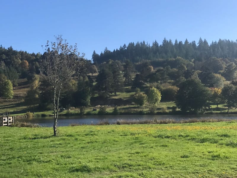 Picture of the spot location
