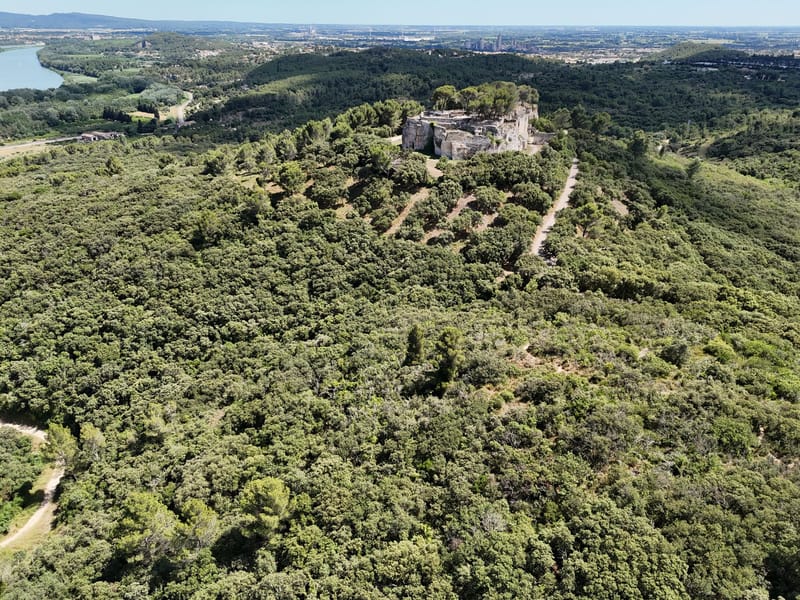 Picture of the spot location