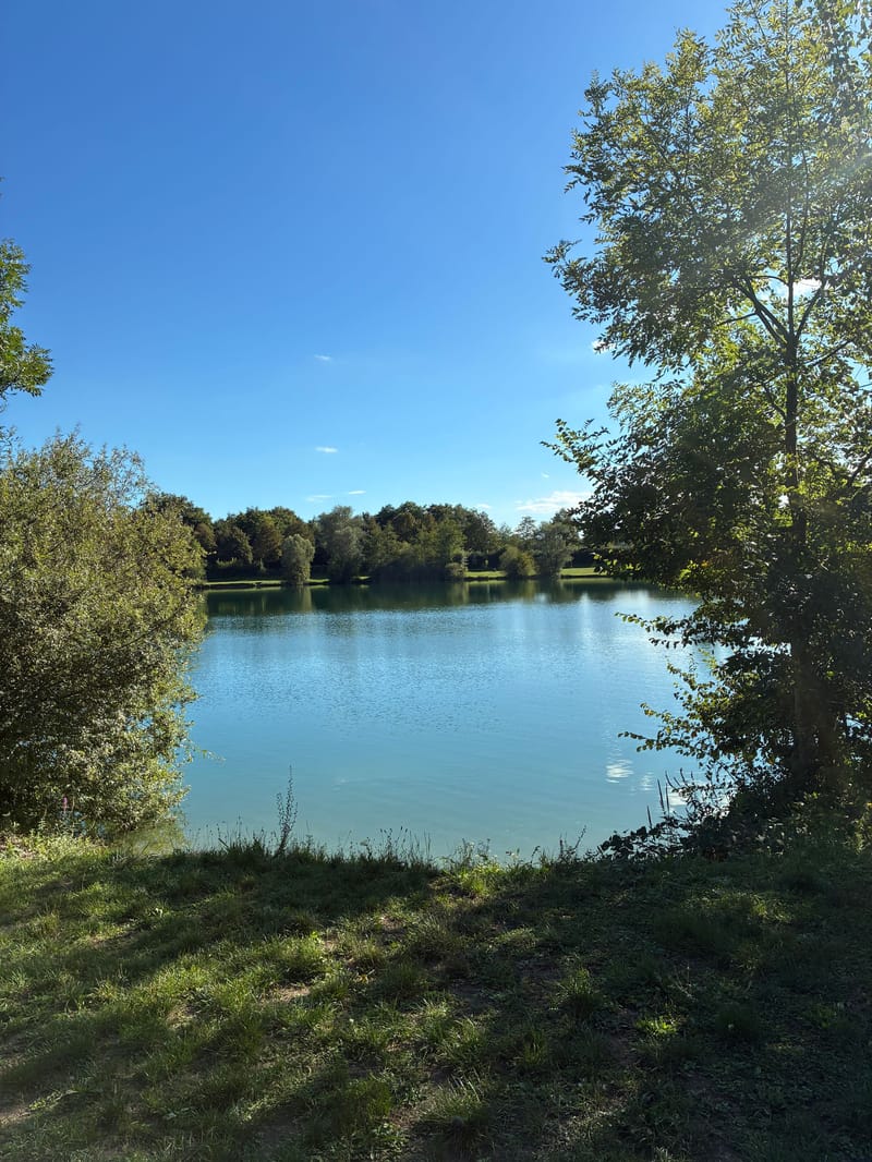 Picture of the spot location
