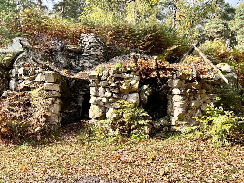 Picture of the spot location