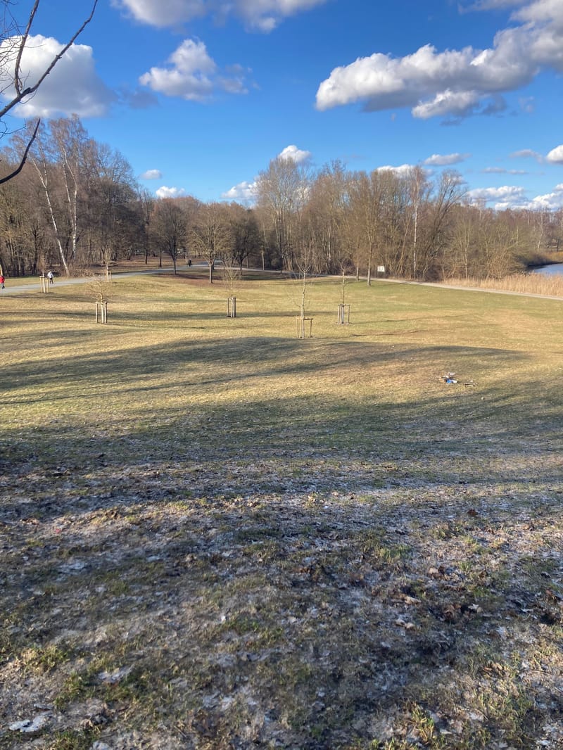 Picture of the spot location