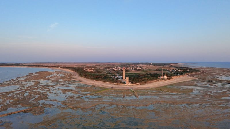 Face au phare des baleines