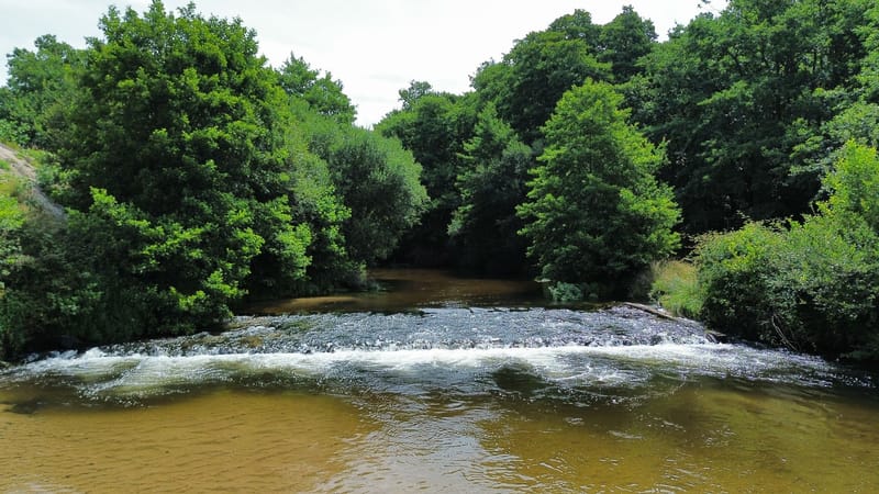 Bassin désableur de la Palue