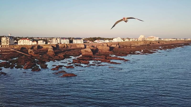 Picture of the spot location