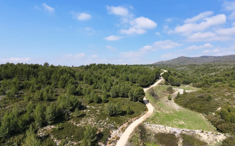 Picture of the spot location