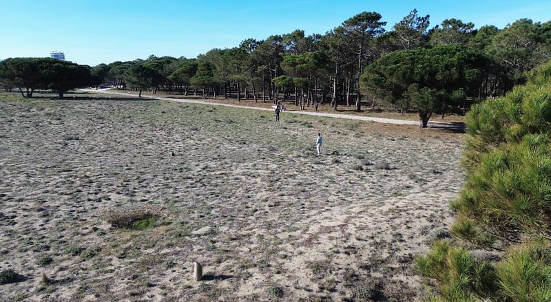 Picture of the spot location