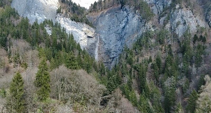 Picture of the spot location