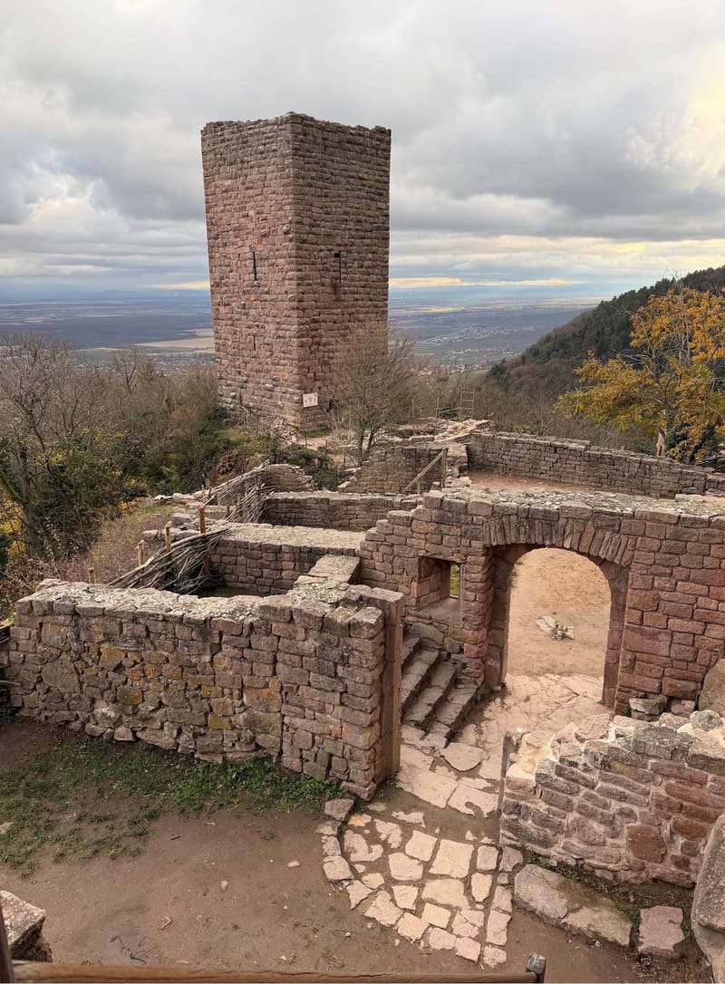 Picture of the spot location