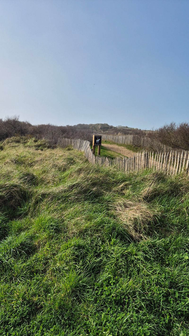 Picture of the spot location