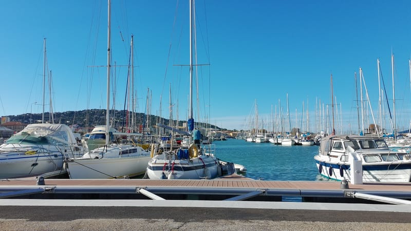 Picture of the spot location