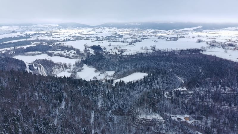 Picture of the spot location