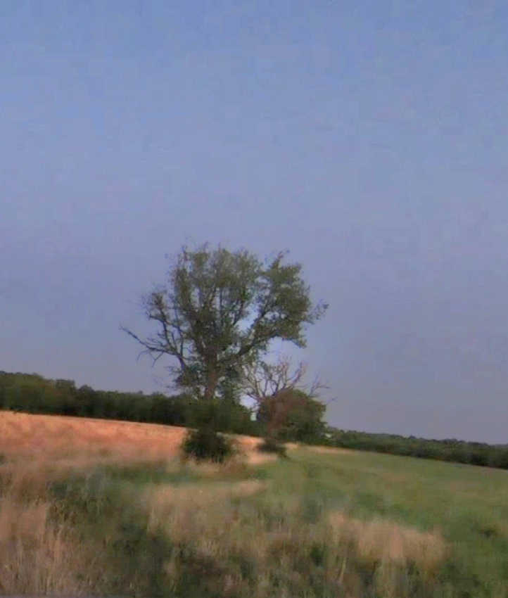 Picture of the spot location