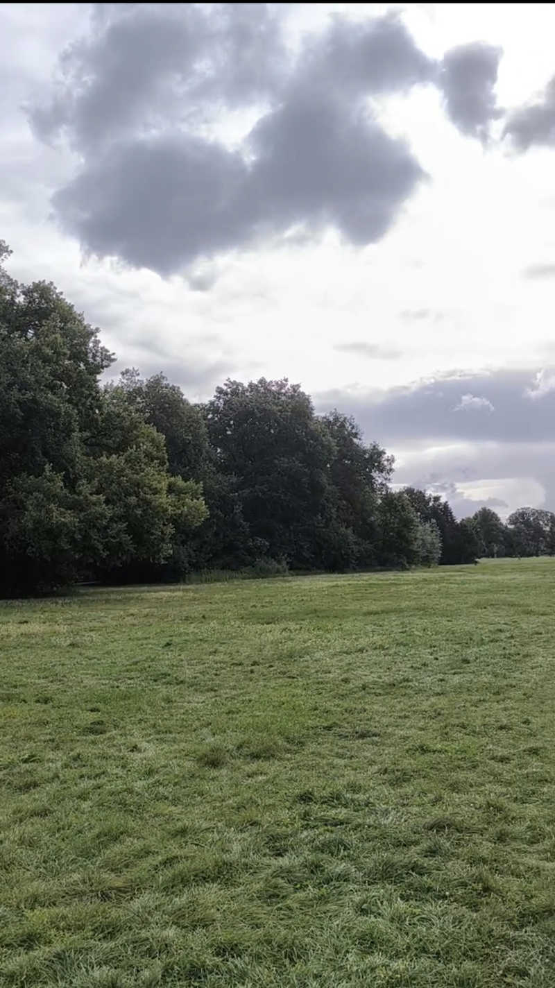 Treptower park