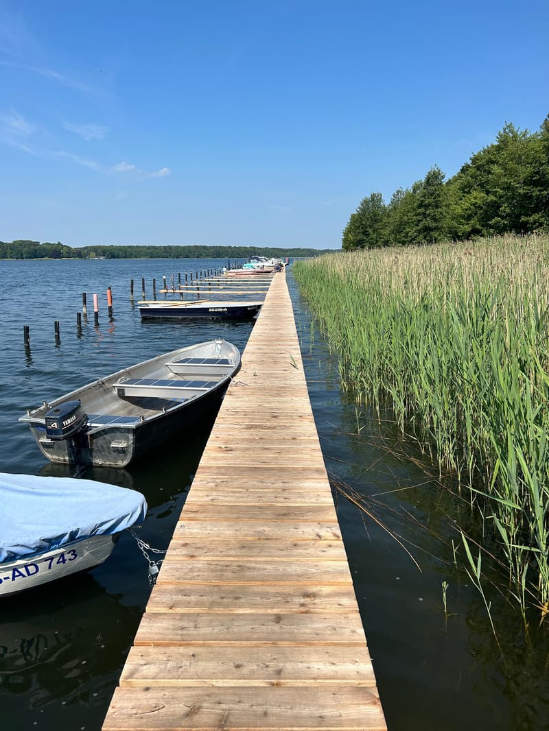 Picture of the spot location