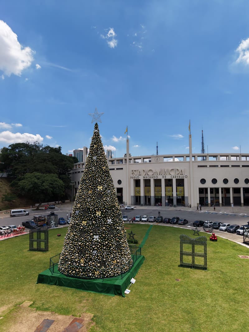 Picture of the spot location