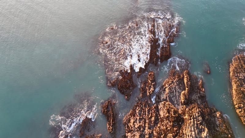 Picture of the spot location